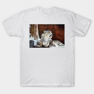 Fire and Ice T-Shirt